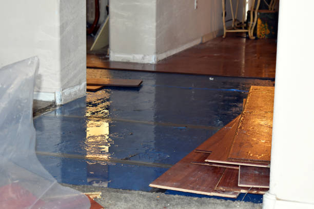 Professional Basement Water Removal technician working in Riverside, UT
